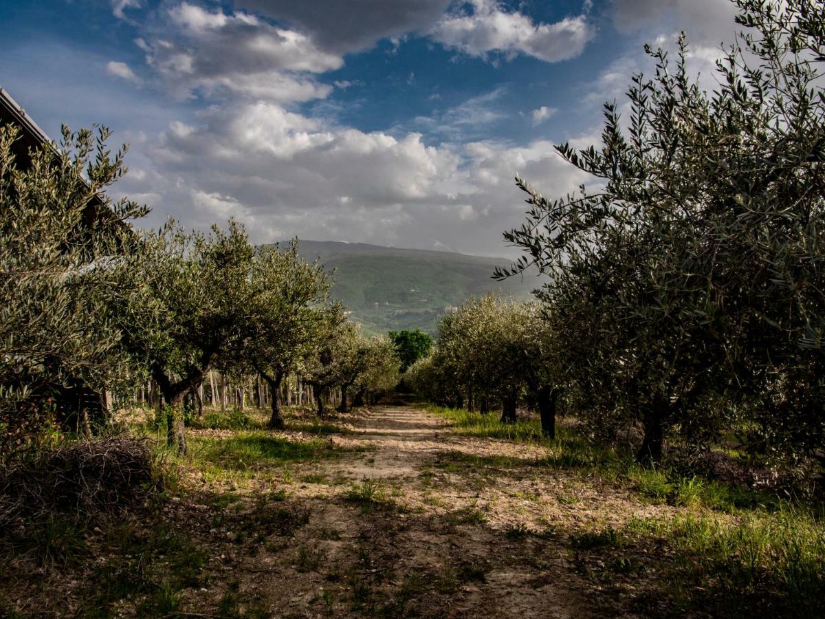 Country House Casale Centurione Vila Manoppello Exterior foto